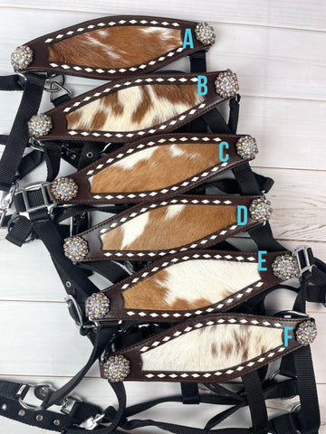 Hide & Leather Crystal Concho Bronc Halter – Cowgirl Barn & Tack