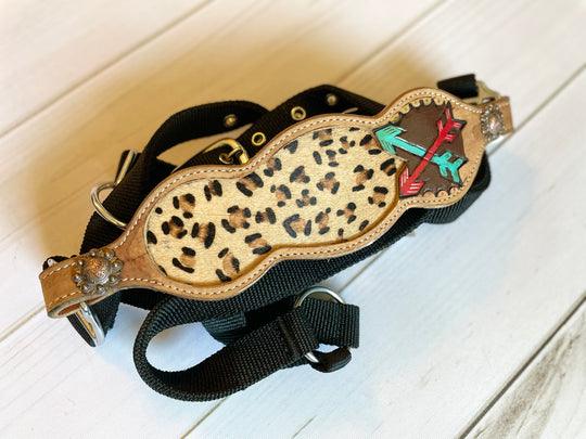 Cheetah Arrow Bronc Halter